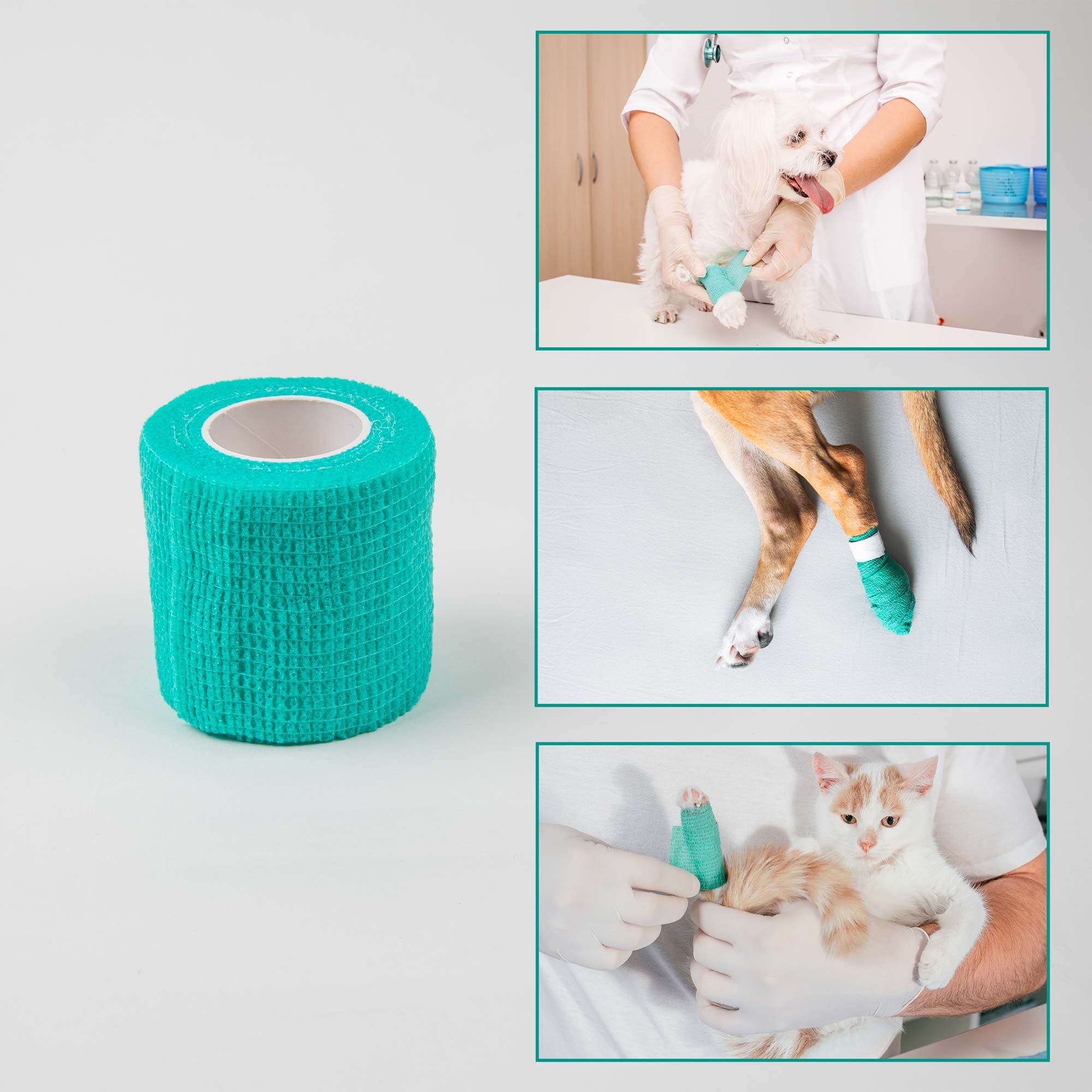 Selbsthaftende Bandage für Hunde