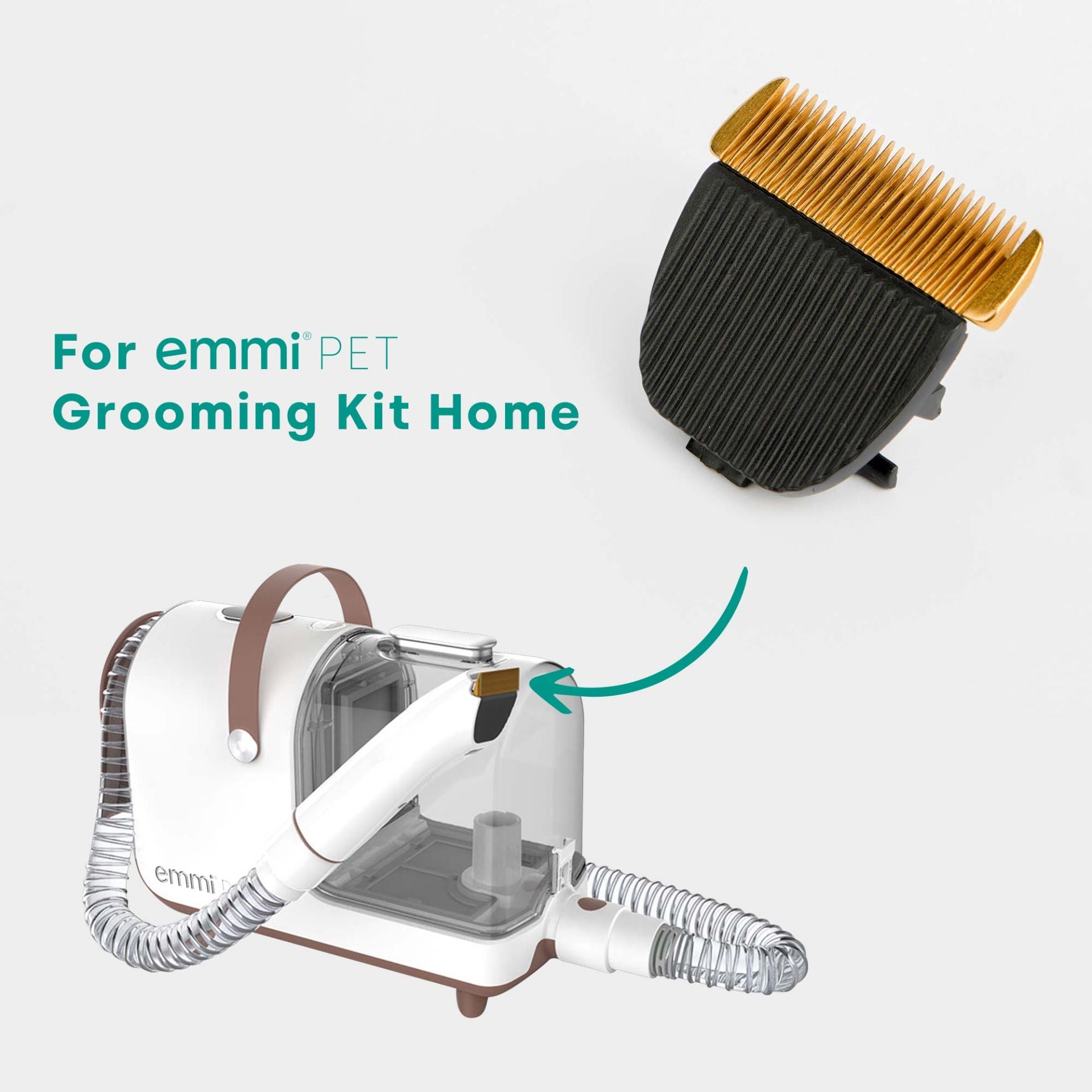 Kit de toilettage avec lames de rechange pour la maison