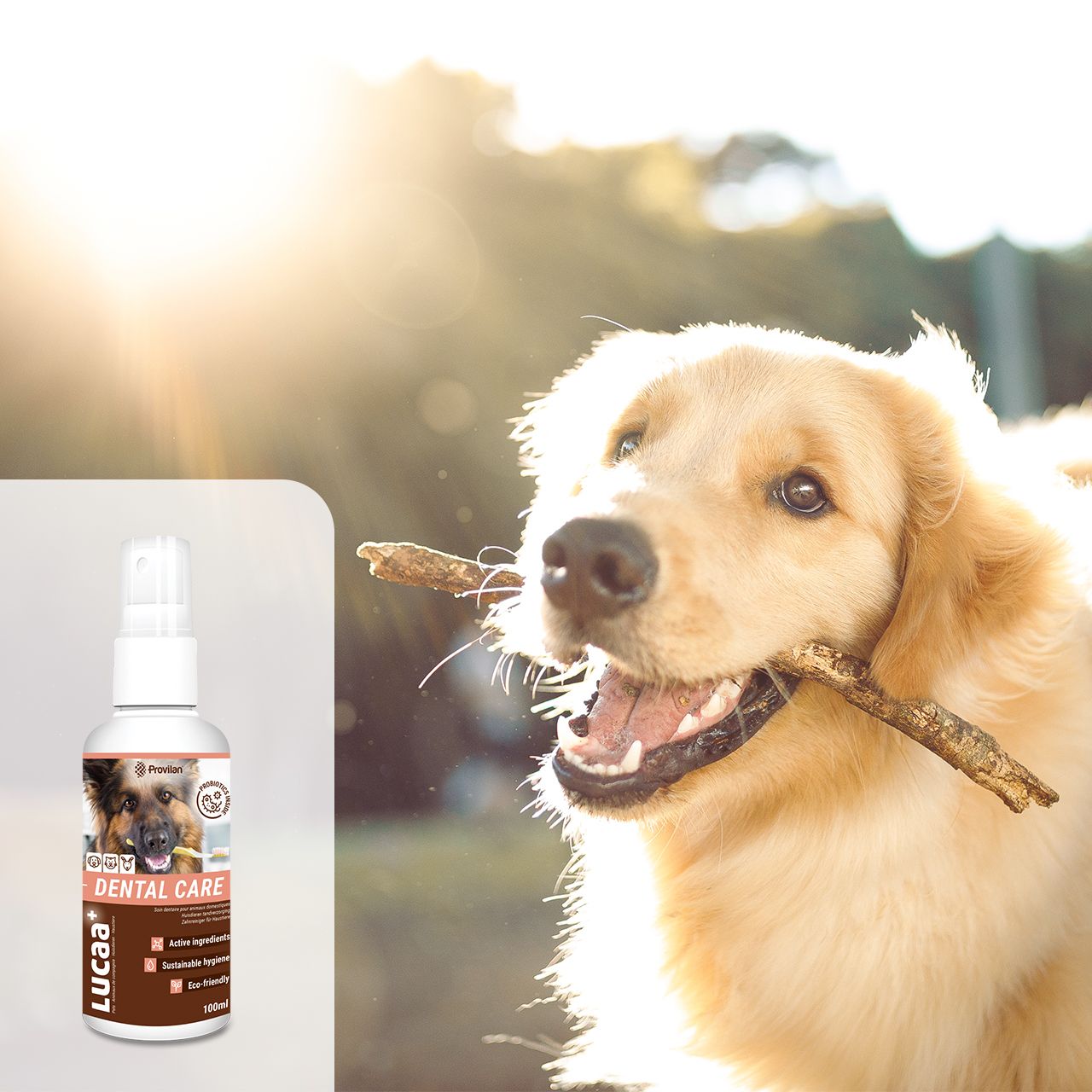 Lucaa+ Detergente per denti biologico per animali domestici 100ml