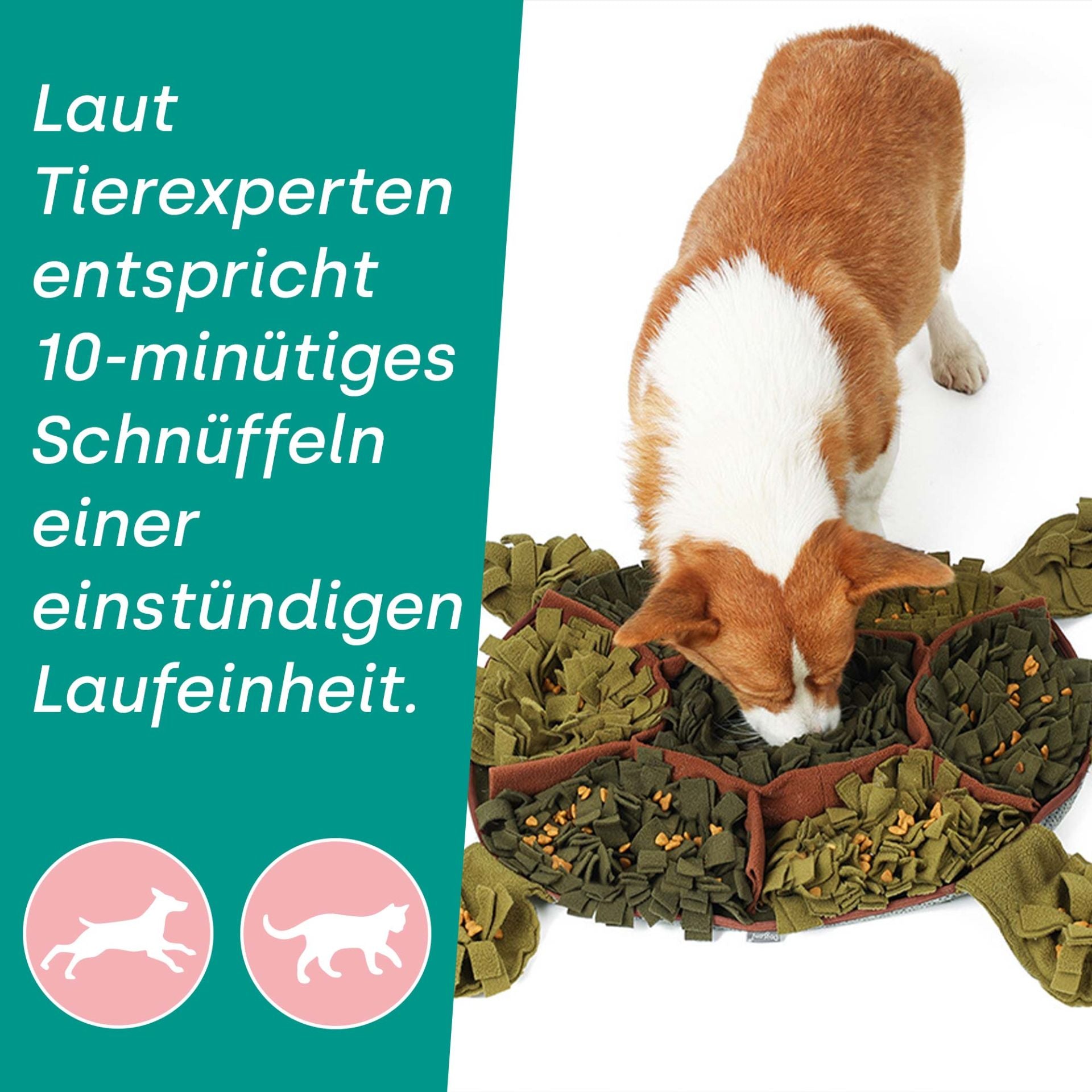 Schnüffelteppich für Hunde Schildkröte