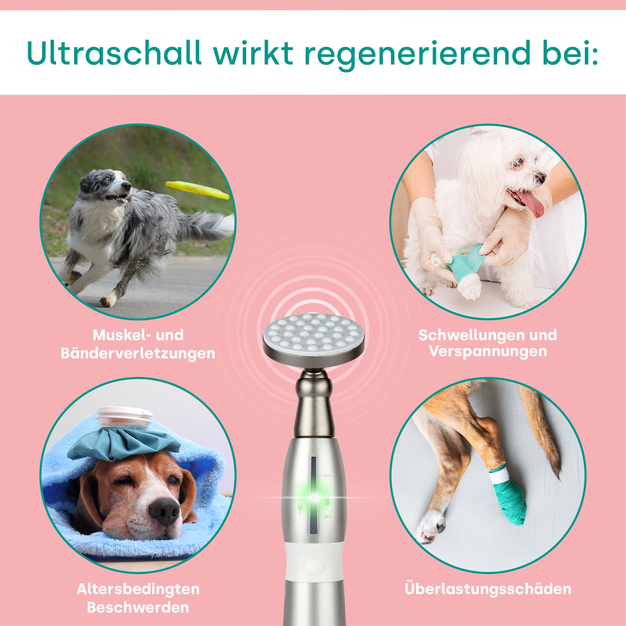 emmi-pet Physio Set PLUS (prise : UE)