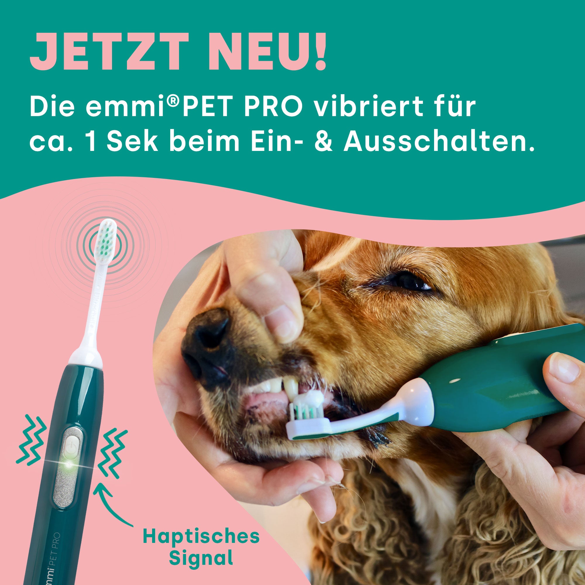 emmi-pet PRO Basic Set