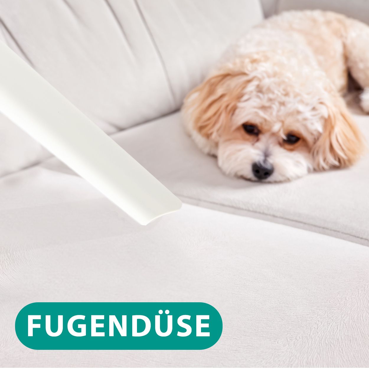 Tondeuse pour chien Neakasa avec aspirateur pour poils d'animaux